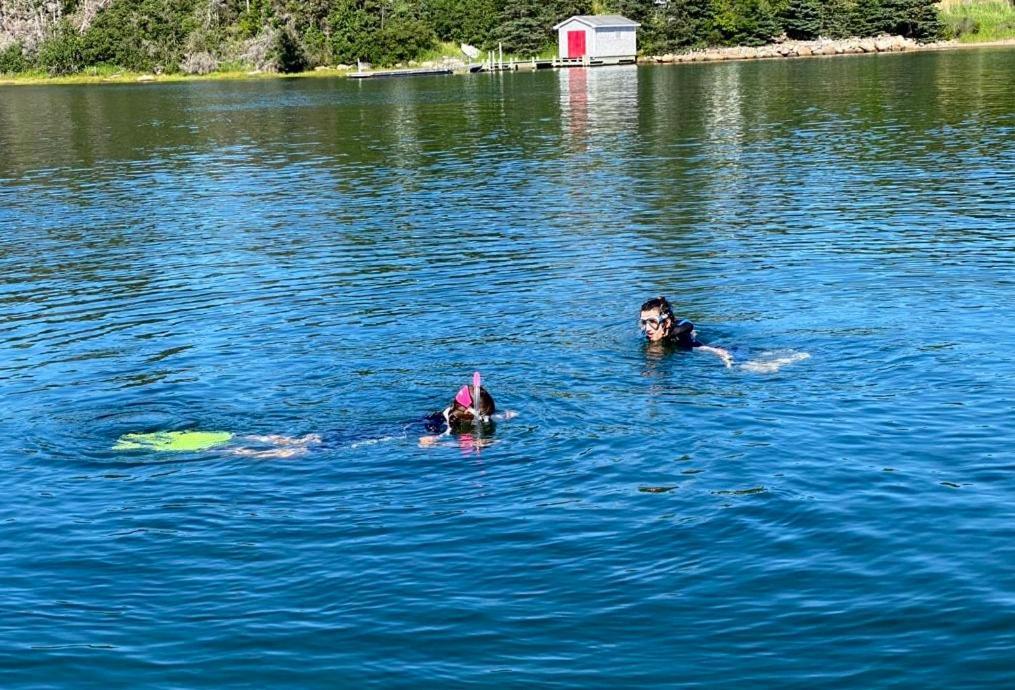 Gifford Private Island Glamping Boat Ride Included Hotel Mahone Bay Exterior photo